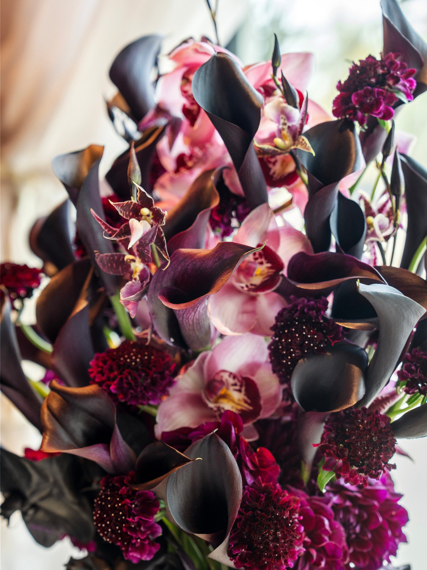 Holiday House Wellington interior detail by Hannah Brooke Design, image 9